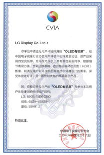 不是所有屏幕都是OLED LG電視獲中國電子視像行業(yè)協(xié)會認證解析